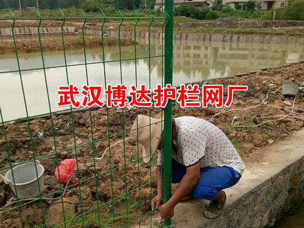 江西井岡市池塘安全矮式隔離欄安裝現(xiàn)場(chǎng)